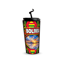 Bolivia 480ml tumbler with reusable straw